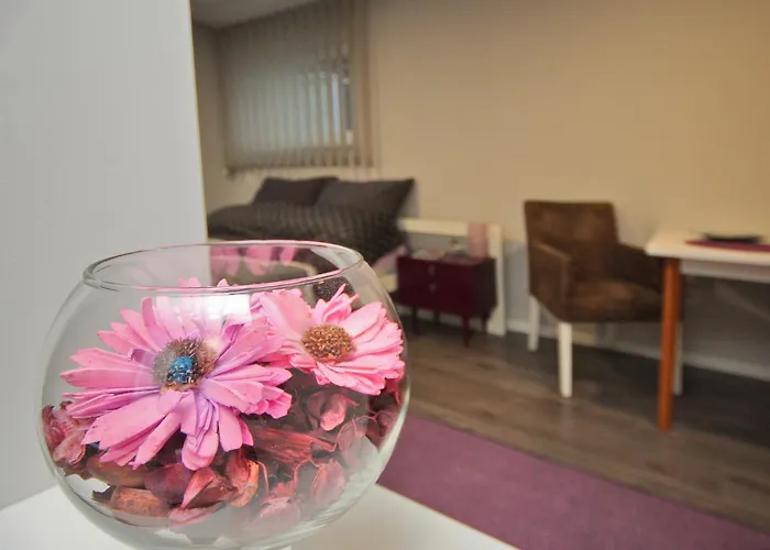 Amaya * سراييفو